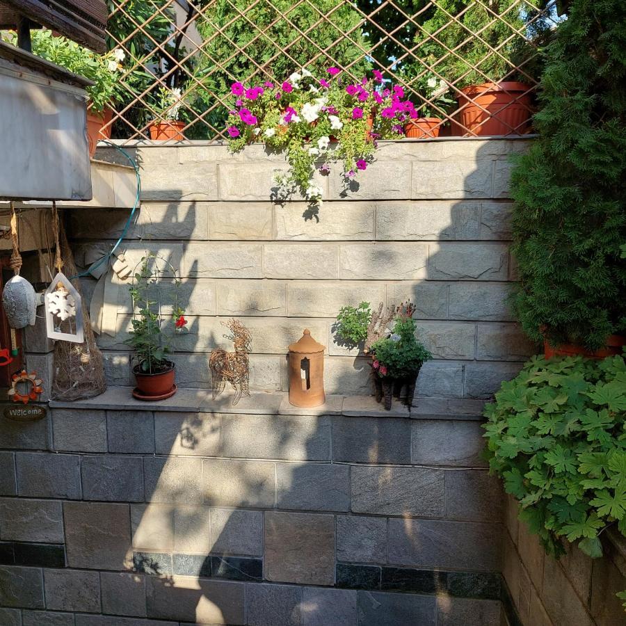 Guest House Planinski Zdravets Bansko Esterno foto