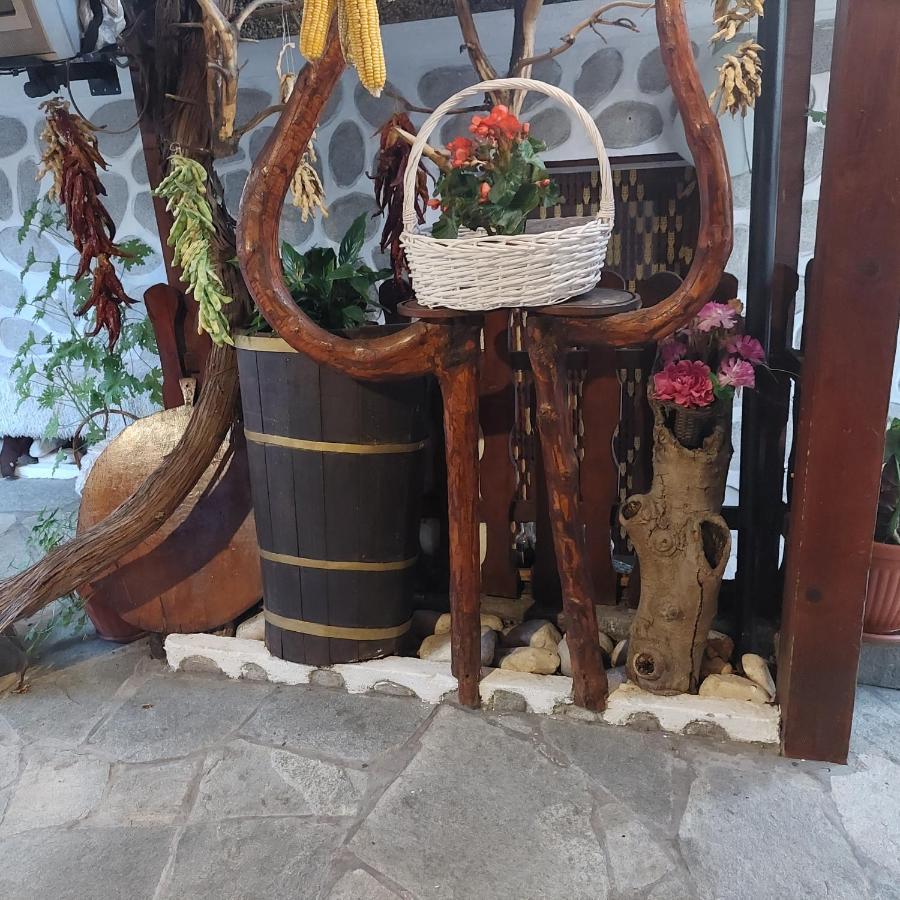 Guest House Planinski Zdravets Bansko Esterno foto